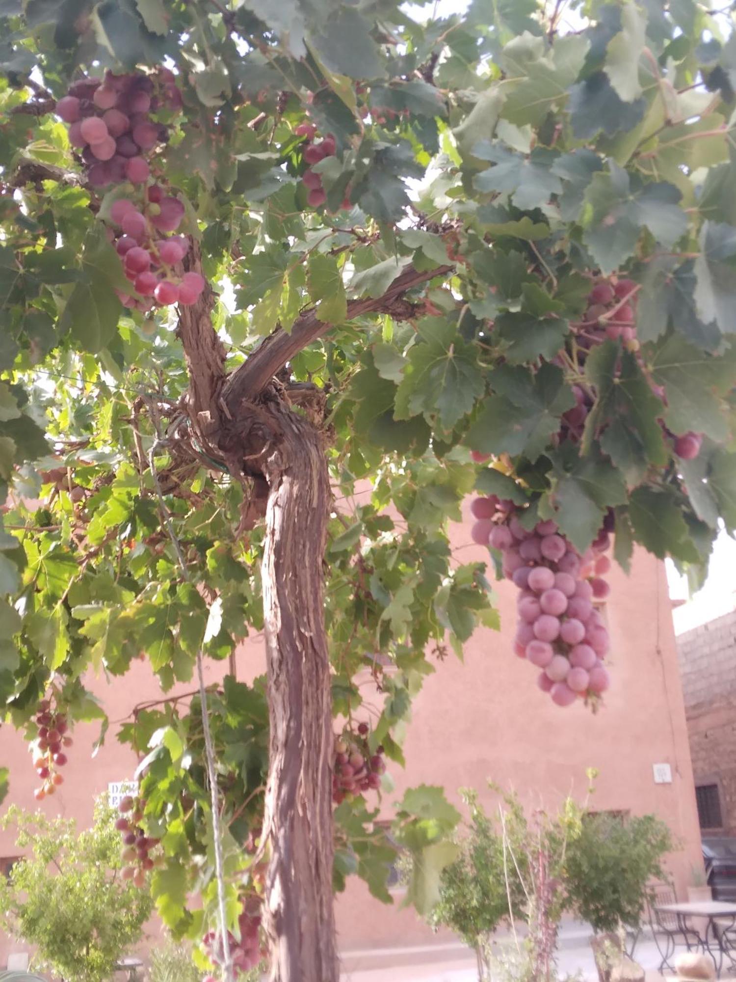 Hotel Dar Bilal Ait Benhaddou Esterno foto