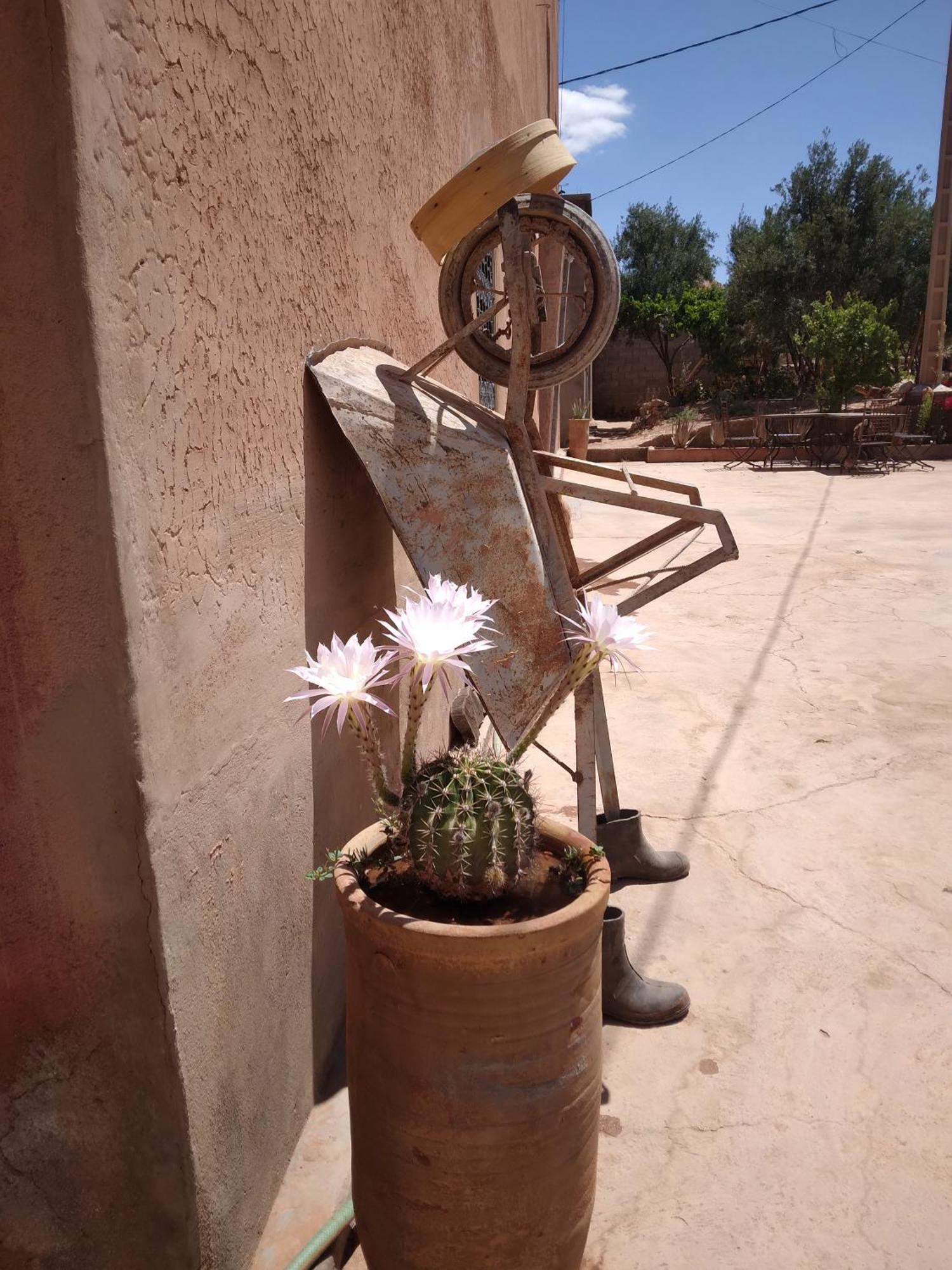 Hotel Dar Bilal Ait Benhaddou Esterno foto