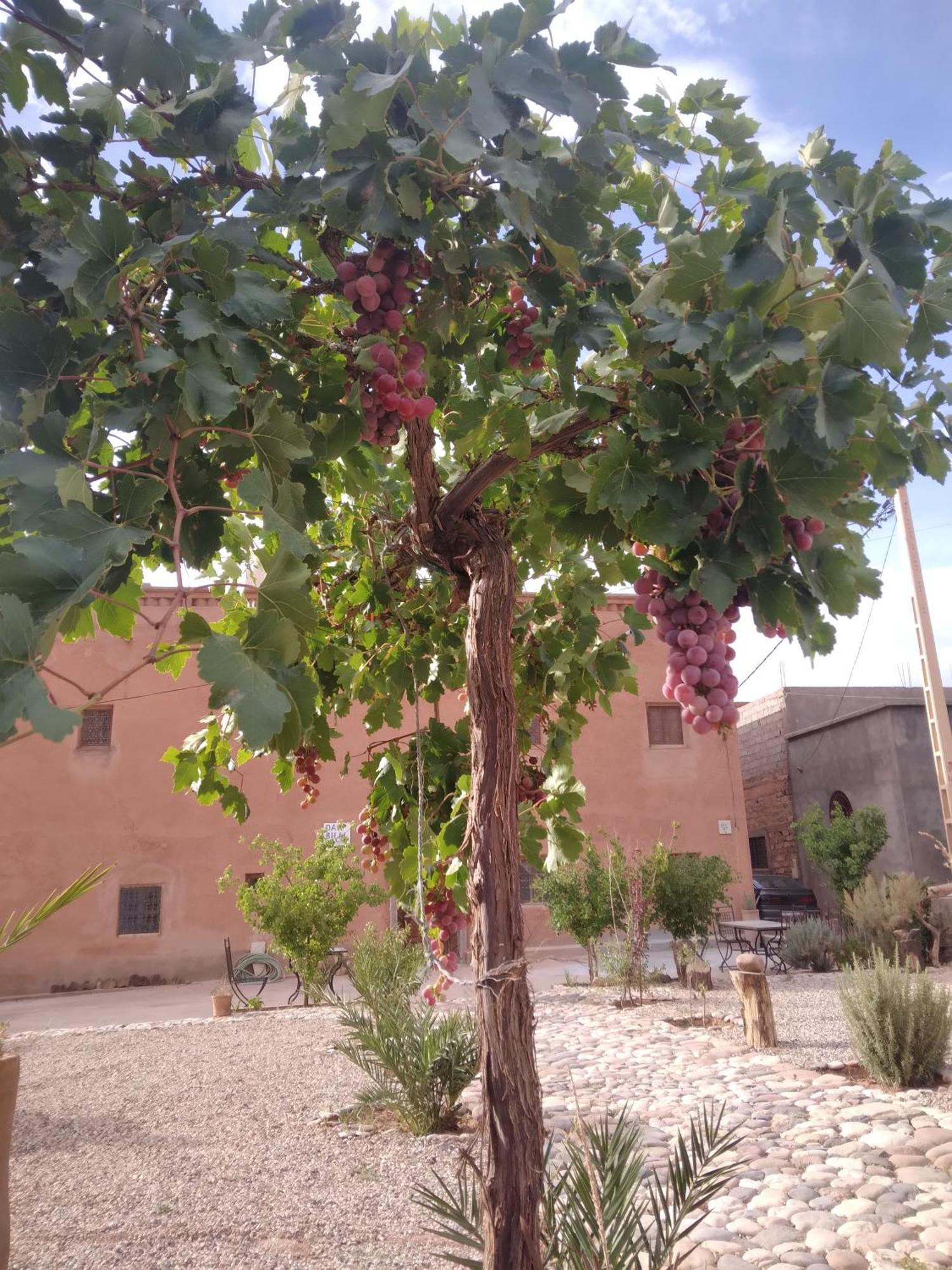 Hotel Dar Bilal Ait Benhaddou Esterno foto